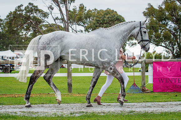 ERIC3166