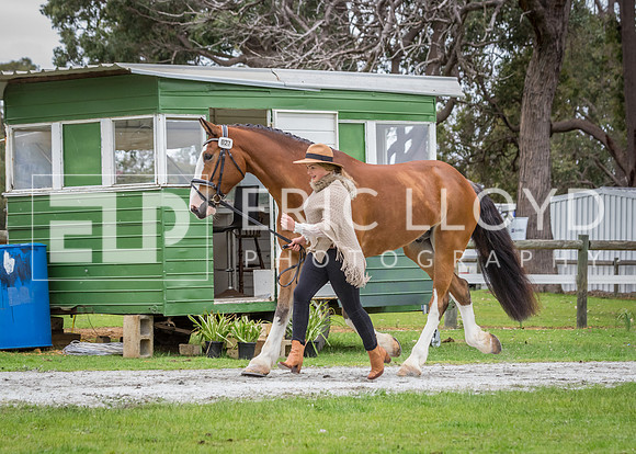 ERIC2949