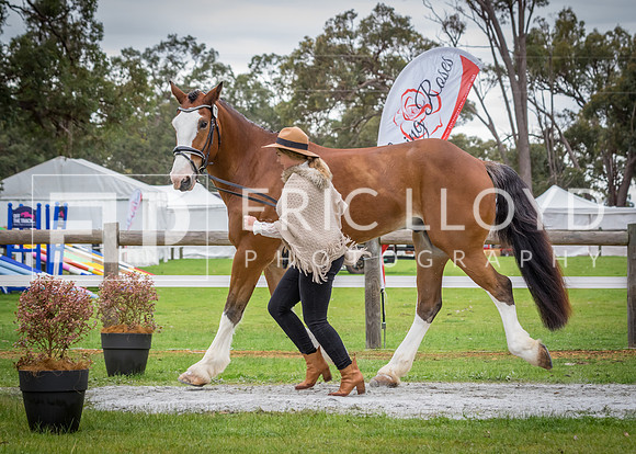 ERIC2961