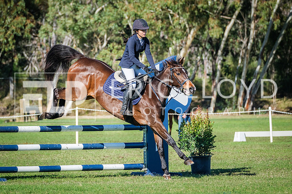 DSCF4639