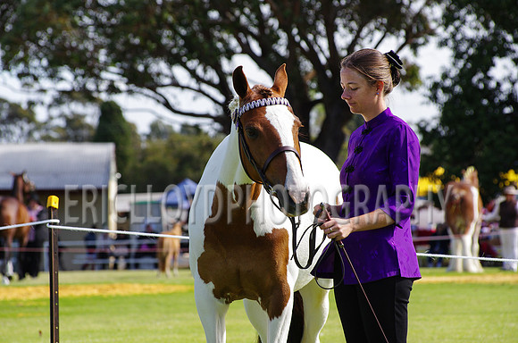 Jess-2525