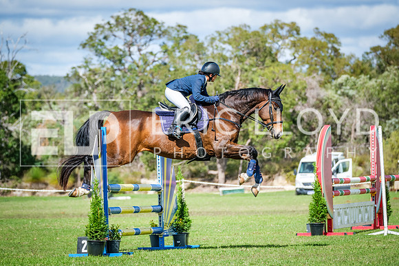DSCF5712