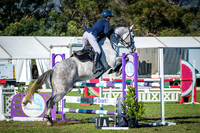 31. Medic Aid Open Stakes 105cm