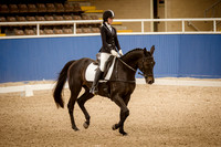 WAYER300319-1816