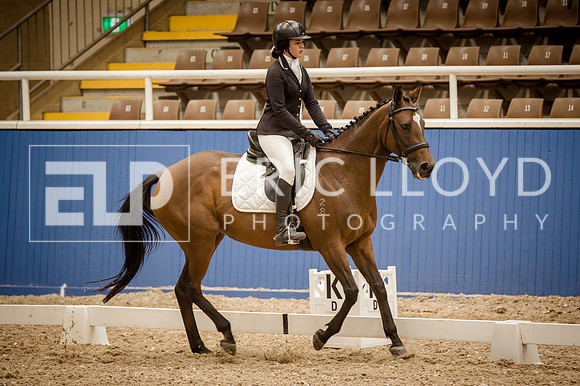 WAYER300319-2014