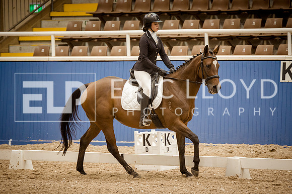 WAYER300319-2015