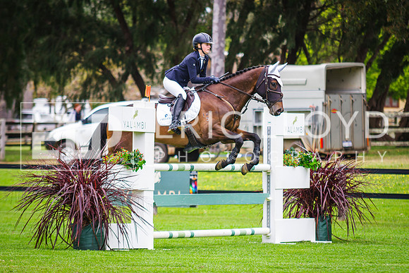 IMGP3503