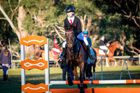 Sun - Class 26A - Championship Class - 60cm