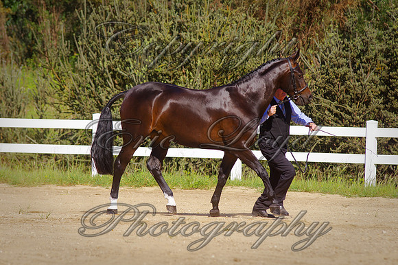 IMGP2257