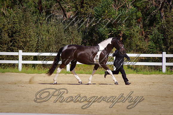 IMGP2358