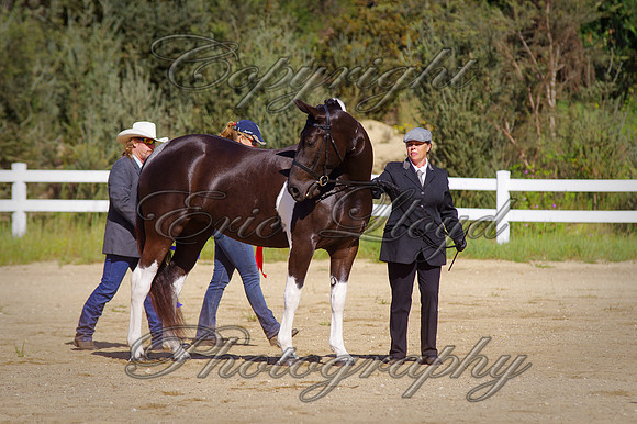 IMGP2380