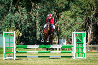 Sun - Class 28a & 28b - Championship Class - 100cm -