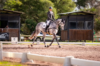 Dressage