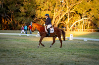 DSC02299