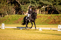 Dressage 7.30-8.41am