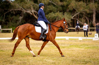 DSC03196