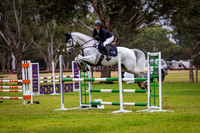 Showjumping