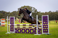 Showjumping 95A