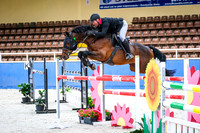 DSCF0567