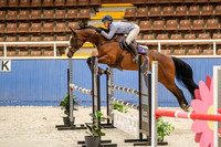 Class 11b Icon Stables & JWA Bronze Series 1.10m