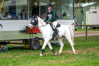 DSCF2176