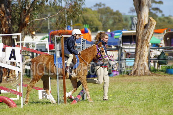 Bev Ag 2014-5169