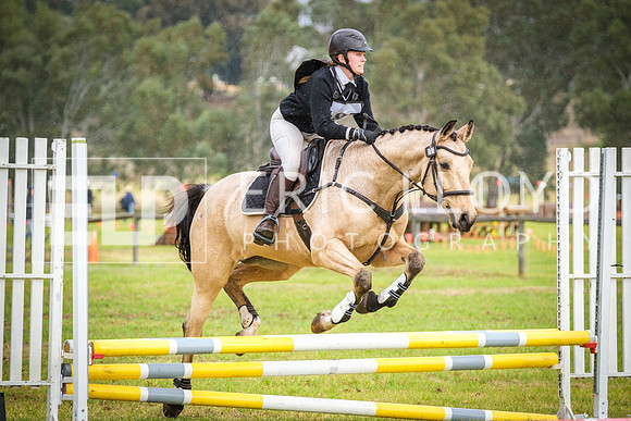 DSCF3793