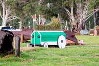 CCN3 Star--S Combined Horse Transport