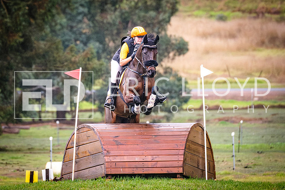 DSCF4401