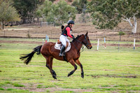 EvA80 - Junior Western Hay
