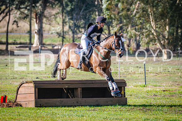 DSCF6133