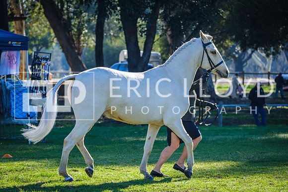 DSCF2015