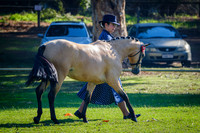 DSCF3058