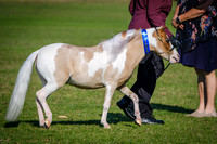 DSCF3067