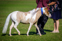DSCF3068