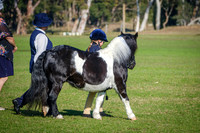DSCF3083