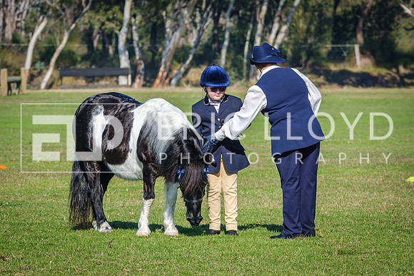 DSCF3160