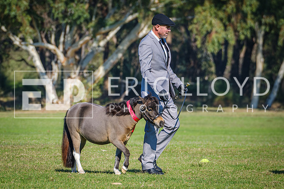 DSCF3510