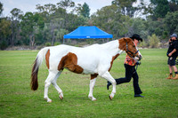 DSCF4007