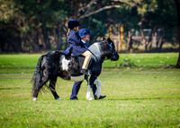 DSCF4751