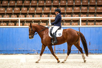 Comp Elementary 3.1 Horse