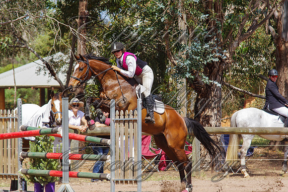 IMGP1447