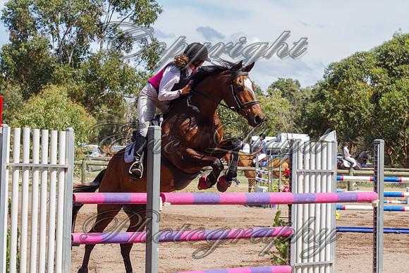 IMGP1453