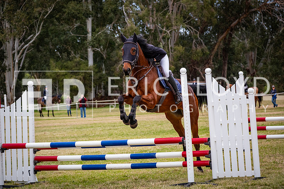 DSCF5573