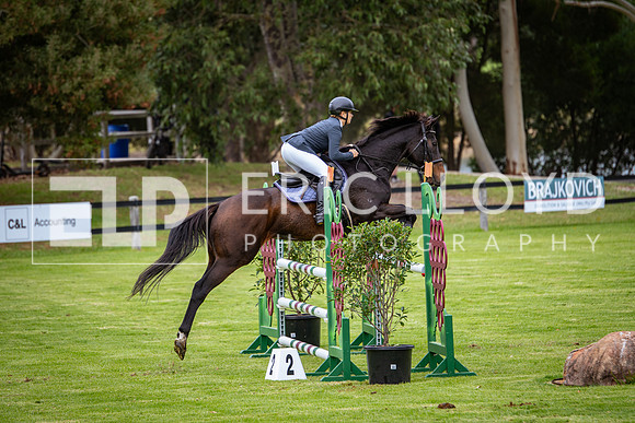 IMGP2252
