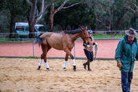 Ground work - Flat work etc