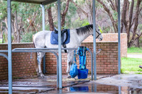 DSCF3758