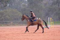 DSCF3944