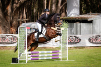 All 65cm Jumps