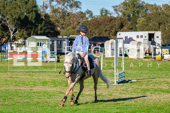 DSCF0106